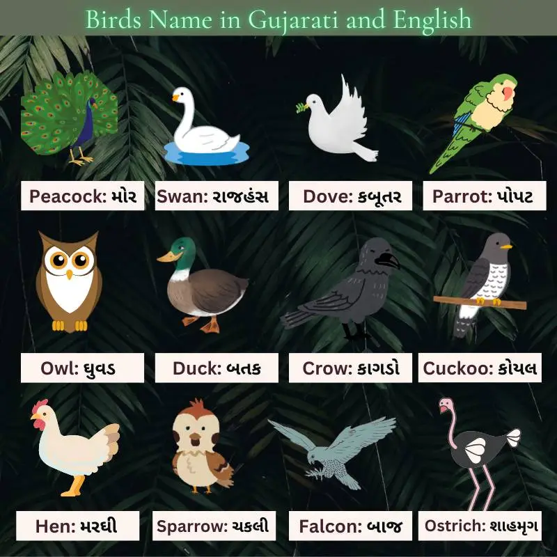 All birds name in gujarati