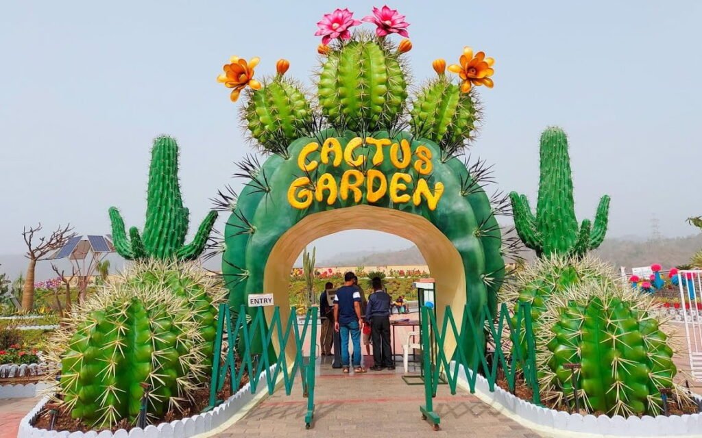 cactus garden