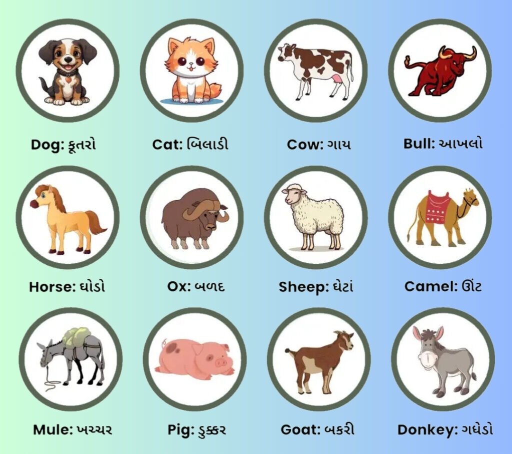 Domestic Animals