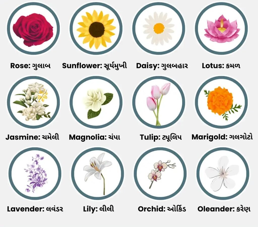 Flowers Names with Pictures in Gujarati and English