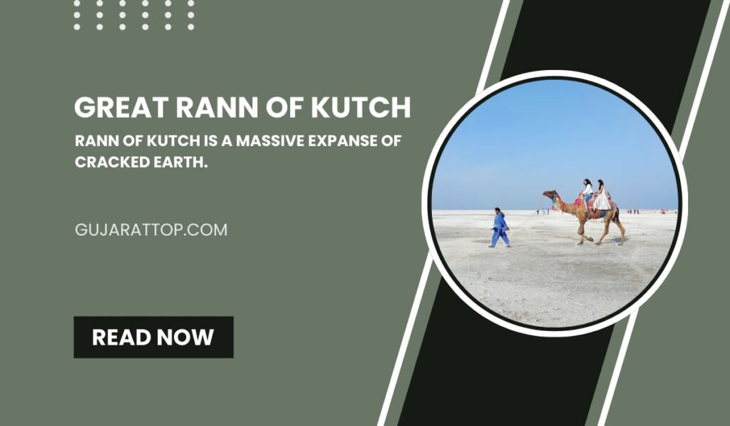 The Great Rann of Kutch